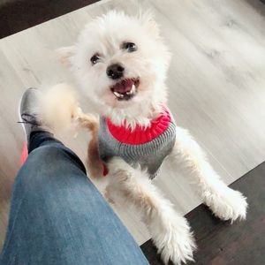 Meet your Posher, Jen